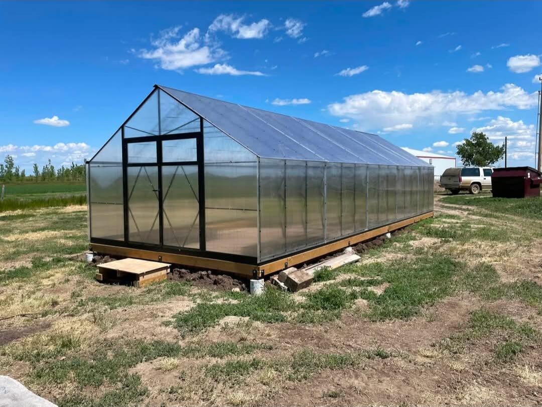 Raulino Framing & Contracting — Backyard greenhouse