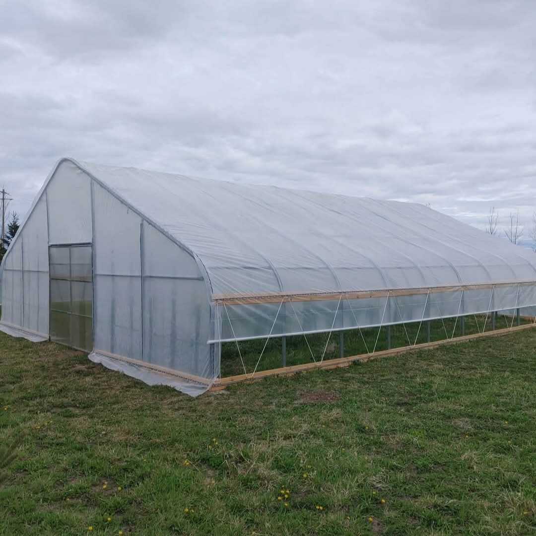 Raulino Framing & Contracting — Poly-tunnel greenhouse build