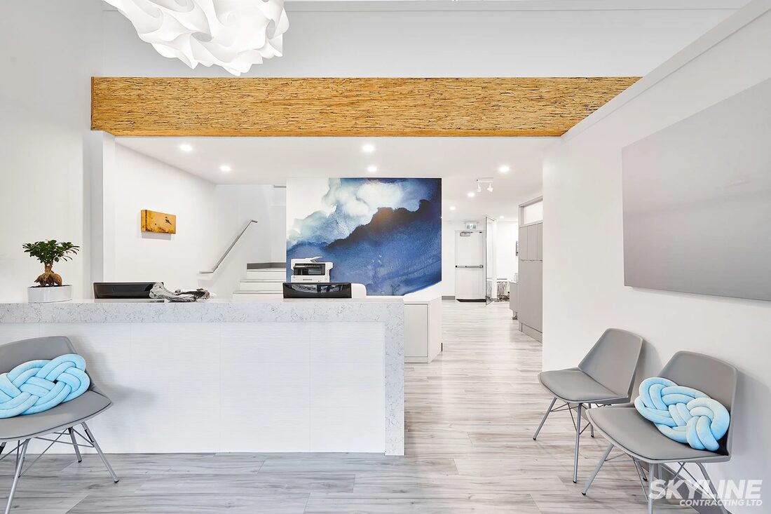 Skyline Contracting Ltd. — Modern lounge
